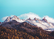 星空体育下载-华体会官网:在新体育时代的信任与体验